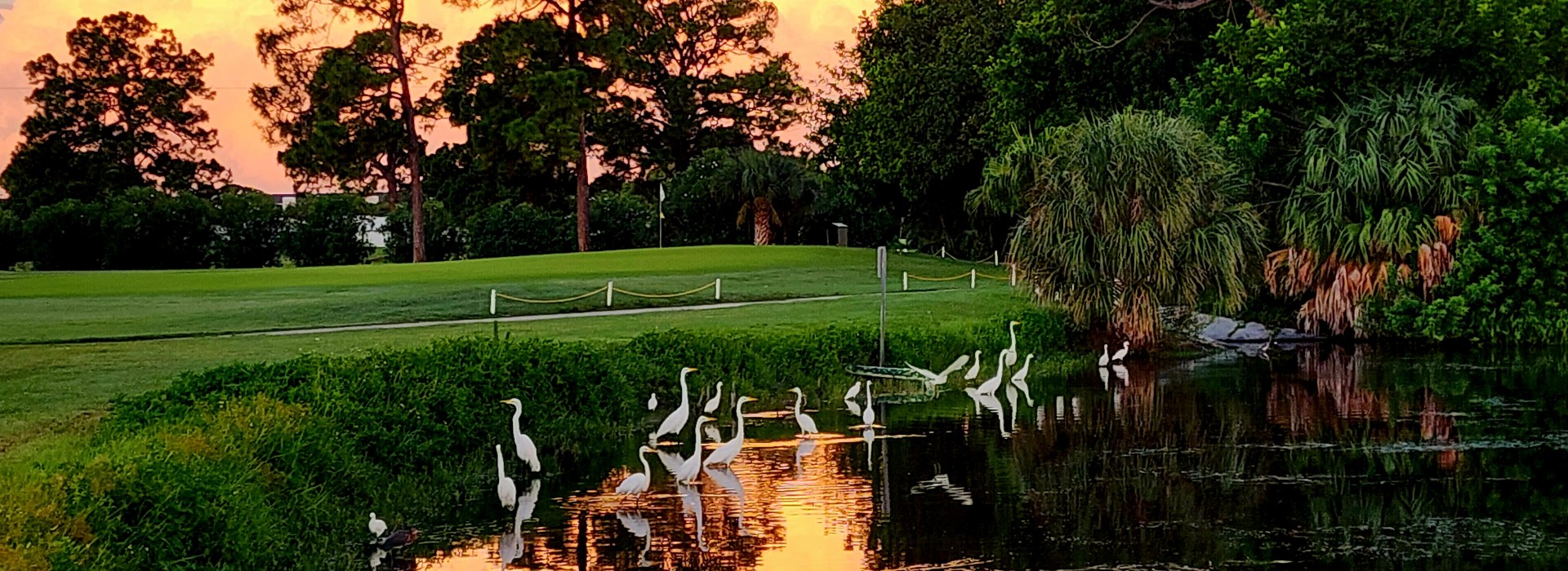 Golf course at sunrise